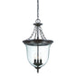 HomeRoots Belle 3-Light Architectural Hanging Light in Bronze Finish