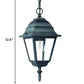 HomeRoots Beveled Glass Outdoor Hanging Light in Matte Black Finish