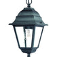 HomeRoots Beveled Glass Outdoor Hanging Light in Matte Black Finish