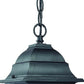 HomeRoots Beveled Glass Outdoor Hanging Light in Matte Black Finish