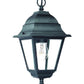 HomeRoots Beveled Glass Outdoor Hanging Light in Matte Black Finish