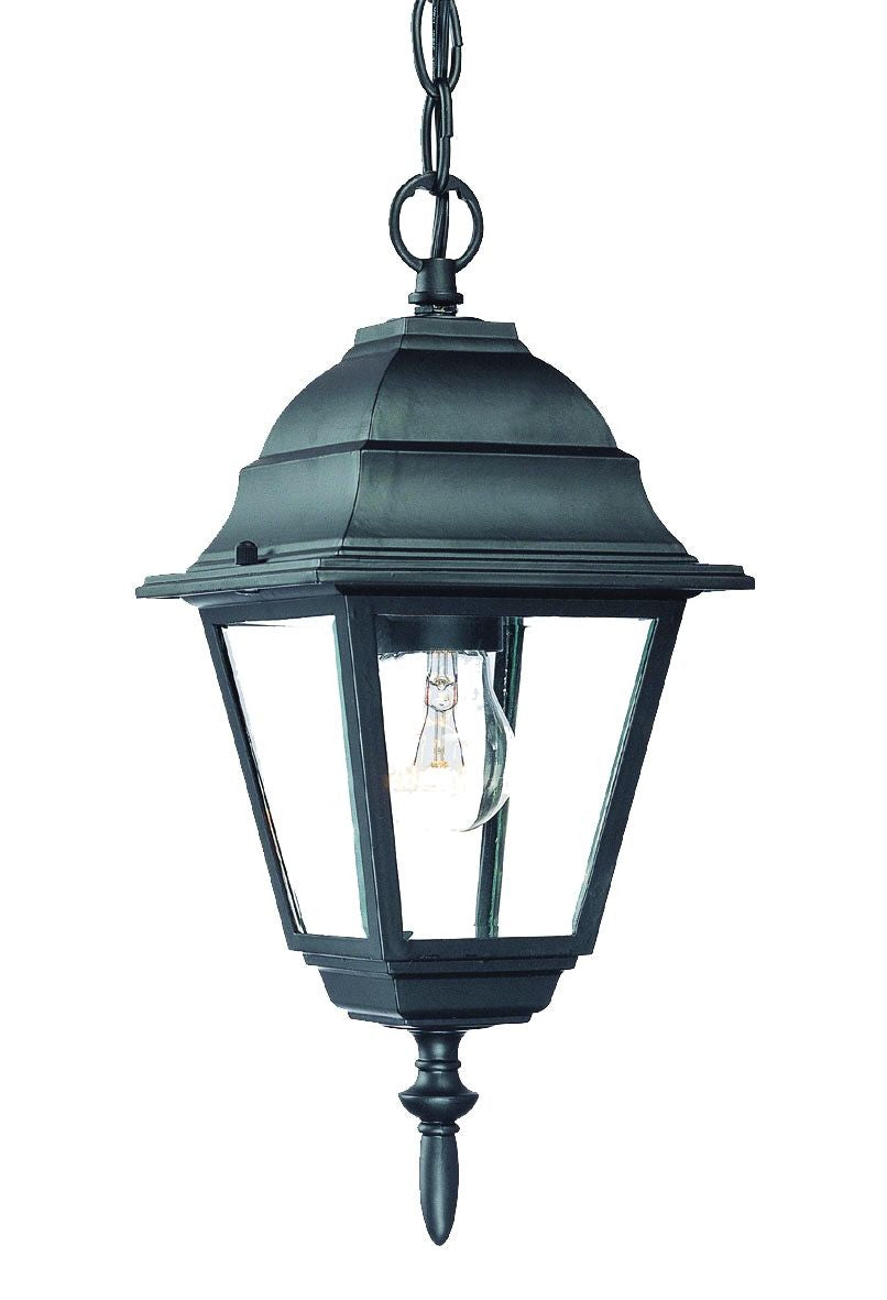 HomeRoots Beveled Glass Outdoor Hanging Light in Matte Black Finish