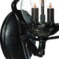 HomeRoots Bird Detail Lantern Wall Light in Matte Black Finish