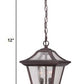 HomeRoots Birdhouse Shape Outdoor Hanging Light With Antique Bronze Finish