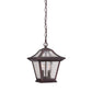 HomeRoots Birdhouse Shape Outdoor Hanging Light With Antique Bronze Finish