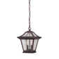 HomeRoots Birdhouse Shape Outdoor Hanging Light With Antique Bronze Finish