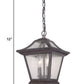 HomeRoots Birdhouse Shape Outdoor Hanging Light in Matte Black Finish