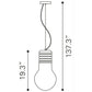 HomeRoots Bulb Ceiling Lamp in Silver Finish