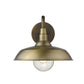 HomeRoots Burry 1-Light Wall Light in Antique Brass Finish
