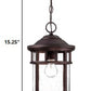 HomeRoots Canister Hanging Light in Antique Bronze Finish