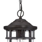 HomeRoots Canister Hanging Light in Matte Black Finish