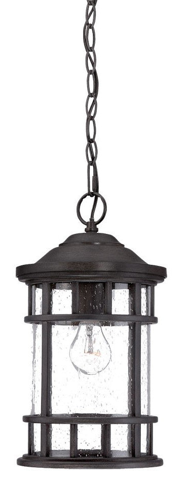HomeRoots Canister Hanging Light in Matte Black Finish