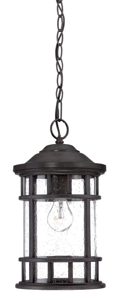 HomeRoots Canister Hanging Light in Matte Black Finish