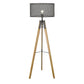 HomeRoots Capprice 1-Light Floor Lamp With Matte Black Finish