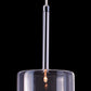 HomeRoots Clear Firefly Ceiling Lamp With Stainless Steel Finish