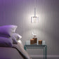 HomeRoots Clear Firefly Ceiling Lamp With Stainless Steel Finish