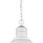 HomeRoots Colby 1-Light Pendant Lighting in White Finish