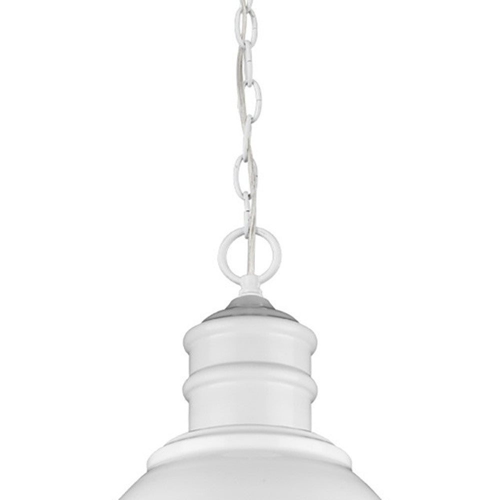 HomeRoots Colby 1-Light Pendant Lighting in White Finish
