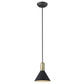 HomeRoots Conical Pendant Hanging Light in Matte Black and Gold Finish