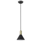HomeRoots Conical Pendant Hanging Light in Matte Black and Gold Finish