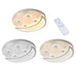 HomeRoots Contemporary Acrylic Moon And Stars Ceiling Lamp in White Finish