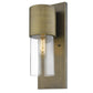 HomeRoots Contemporary Wall Light With Brushed Gold and Glass Finish