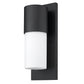 HomeRoots Contemporary Wall Light in Matte Black and White Finish