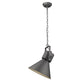 HomeRoots Crew 1-Light Pendant in Gray Finish