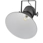 HomeRoots Crew 1-Light Pendant in Gray Finish