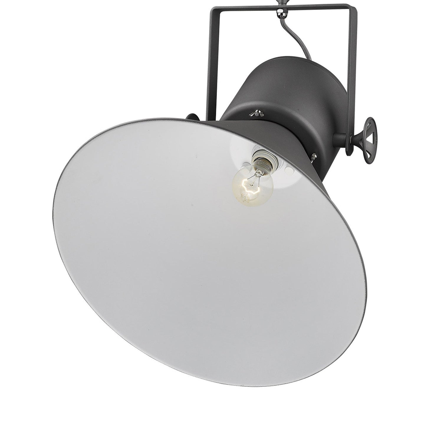HomeRoots Crew 1-Light Pendant in Gray Finish