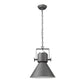 HomeRoots Crew 1-Light Pendant in Gray Finish