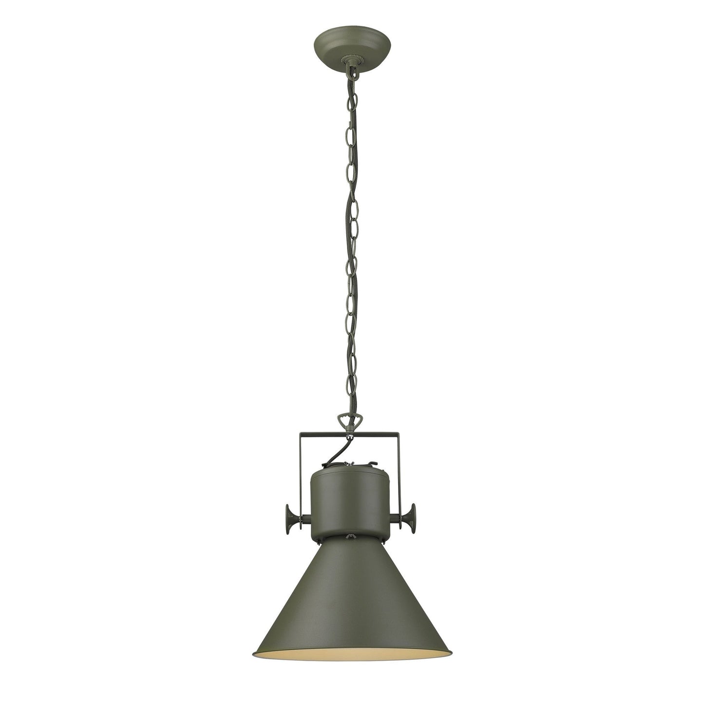 HomeRoots Crew 1-Light Pendant in Green Finish