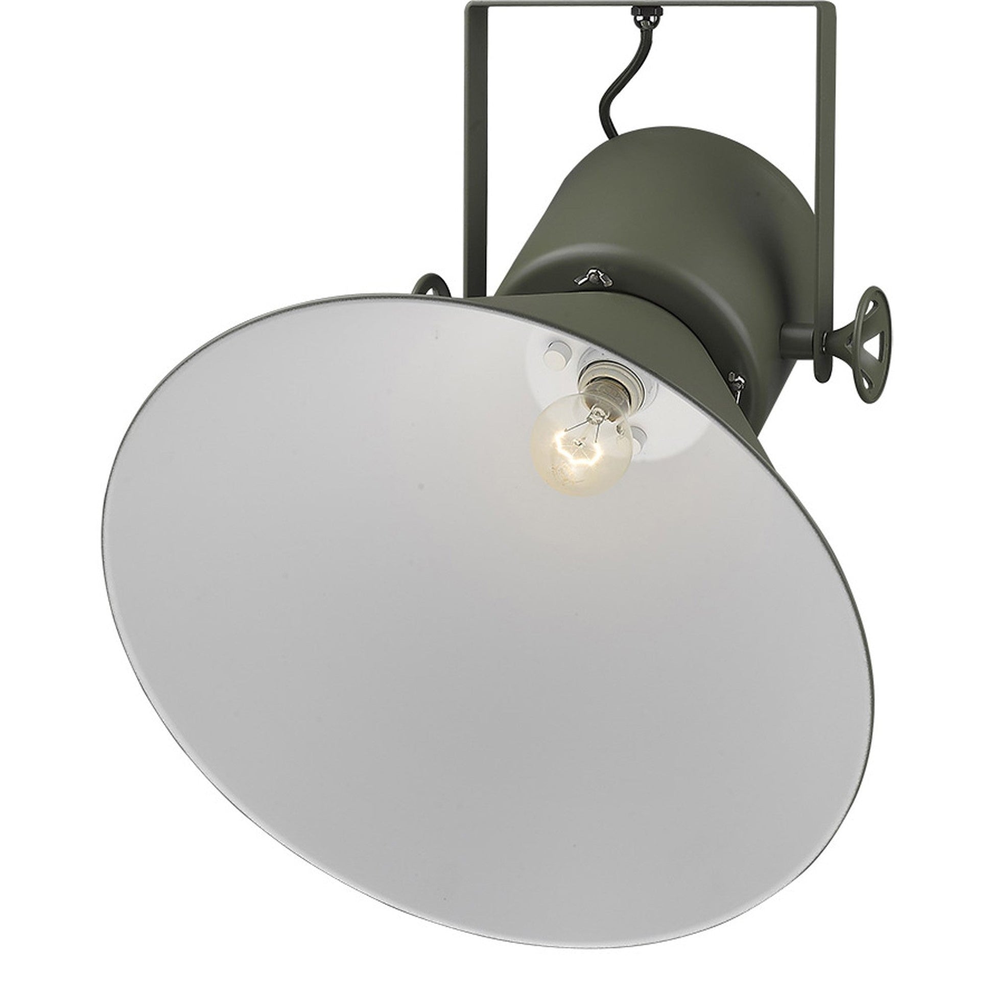 HomeRoots Crew 1-Light Pendant in Green Finish