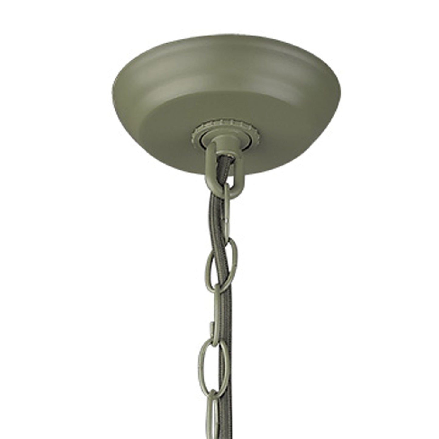 HomeRoots Crew 1-Light Pendant in Green Finish