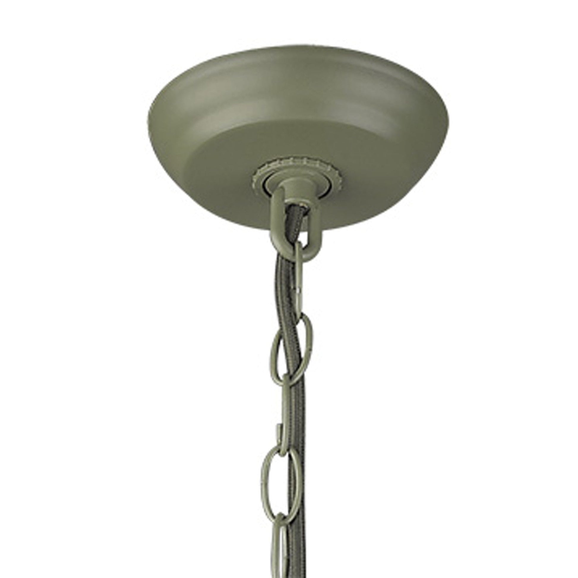 HomeRoots Crew 1-Light Pendant in Green Finish