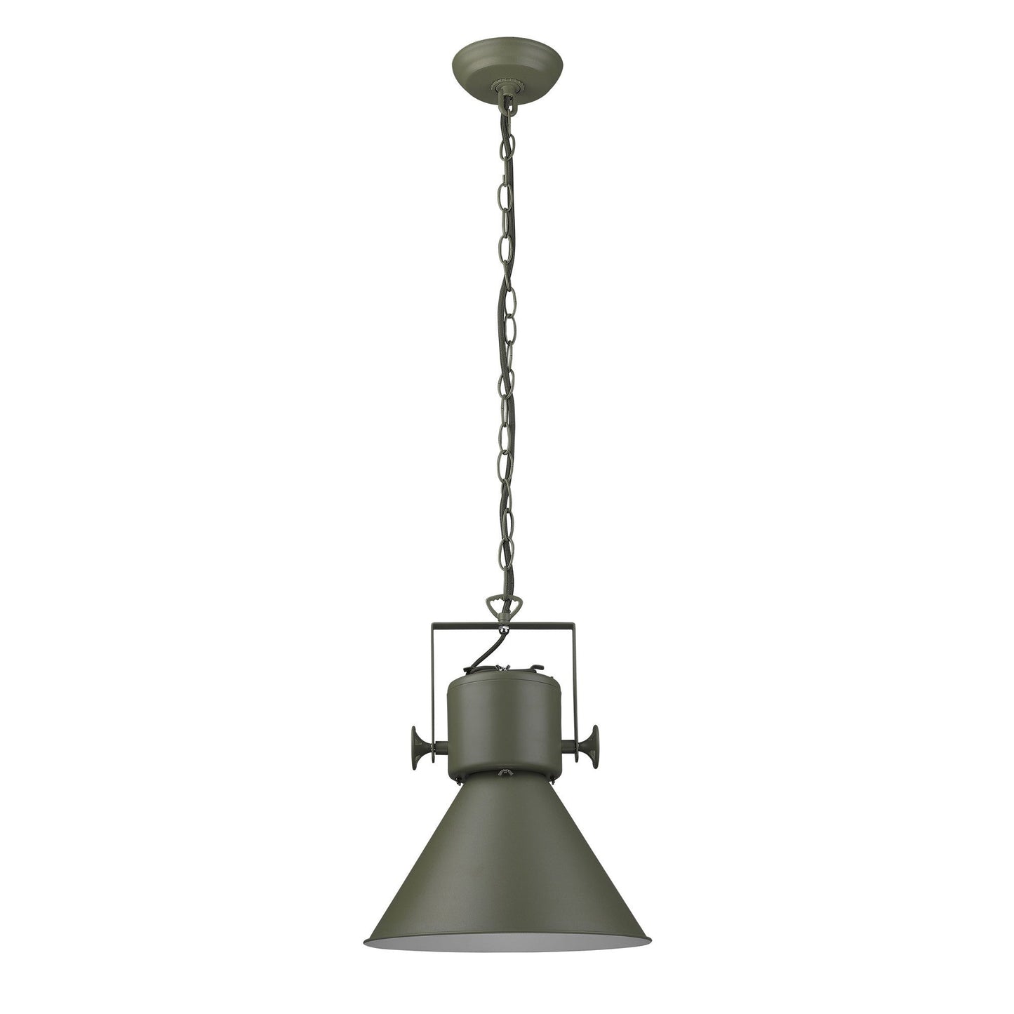 HomeRoots Crew 1-Light Pendant in Green Finish