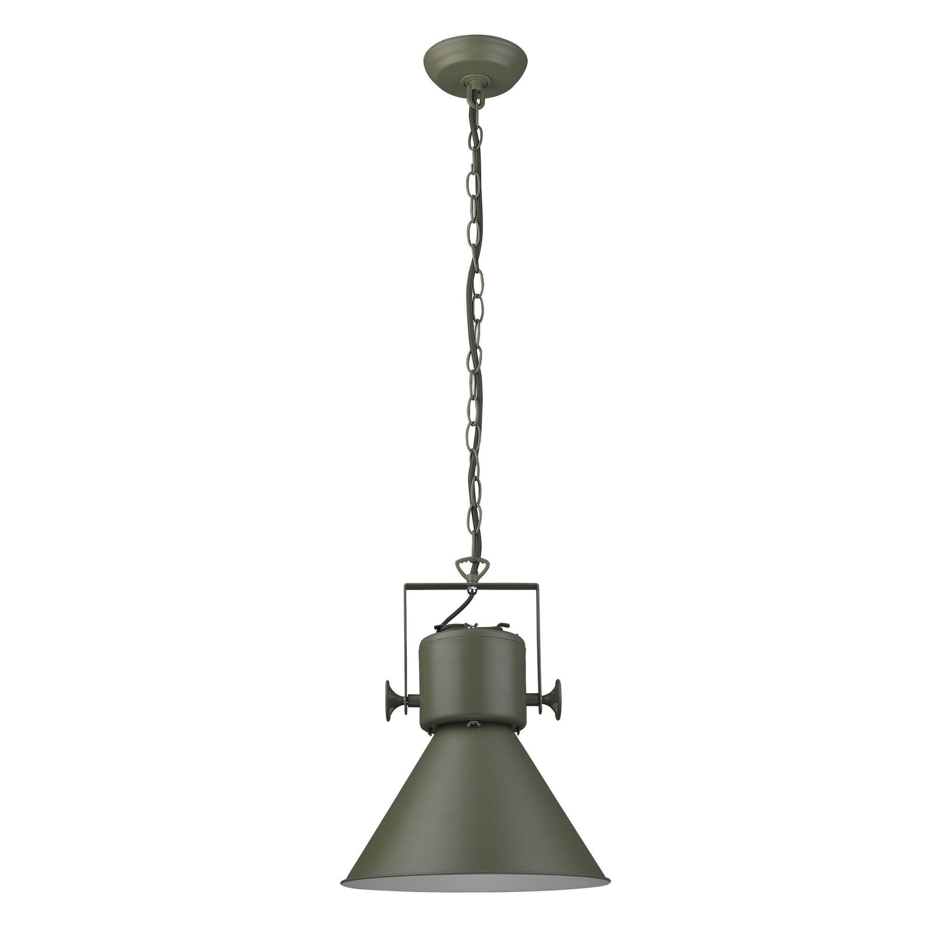 HomeRoots Crew 1-Light Pendant in Green Finish