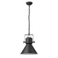 HomeRoots Crew 1-Light Pendant in Matte Black Finish