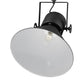 HomeRoots Crew 1-Light Pendant in Matte Black Finish