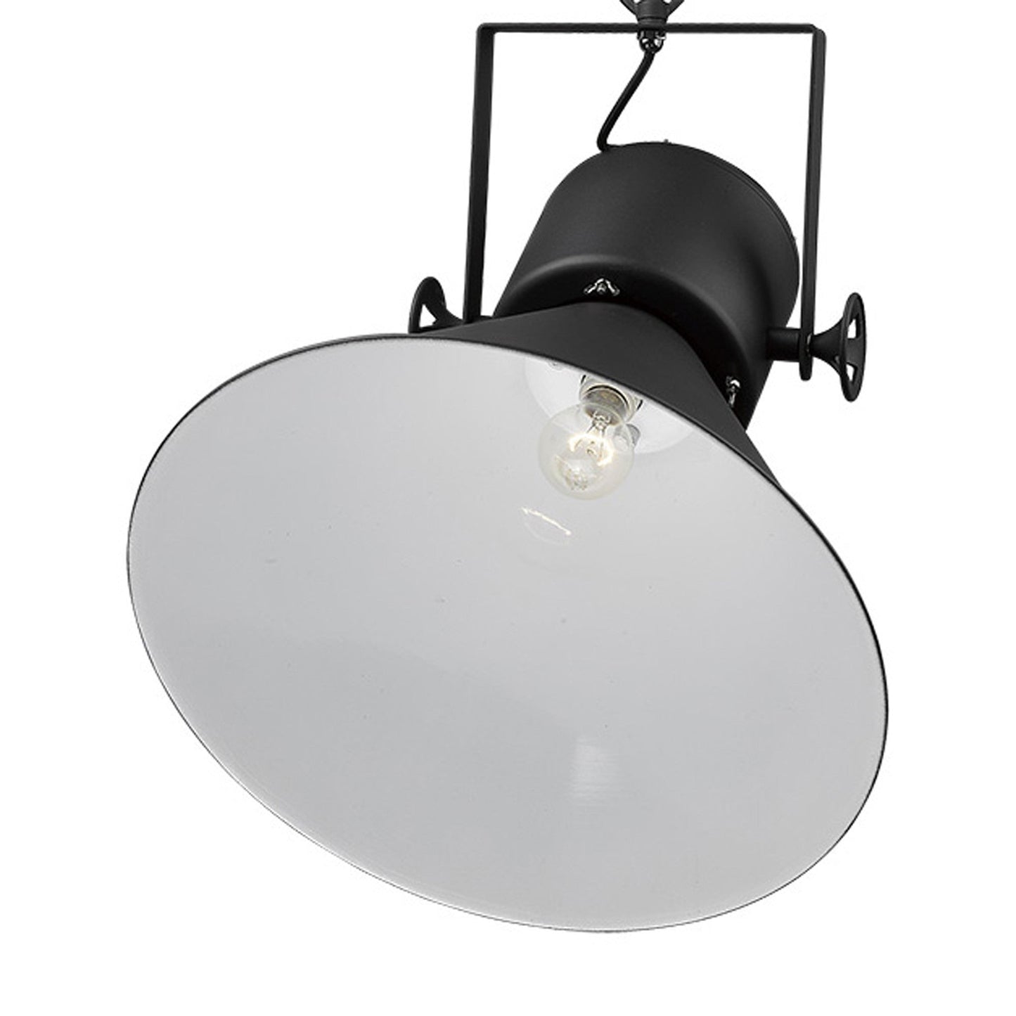 HomeRoots Crew 1-Light Pendant in Matte Black Finish