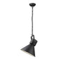 HomeRoots Crew 1-Light Pendant in Matte Black Finish