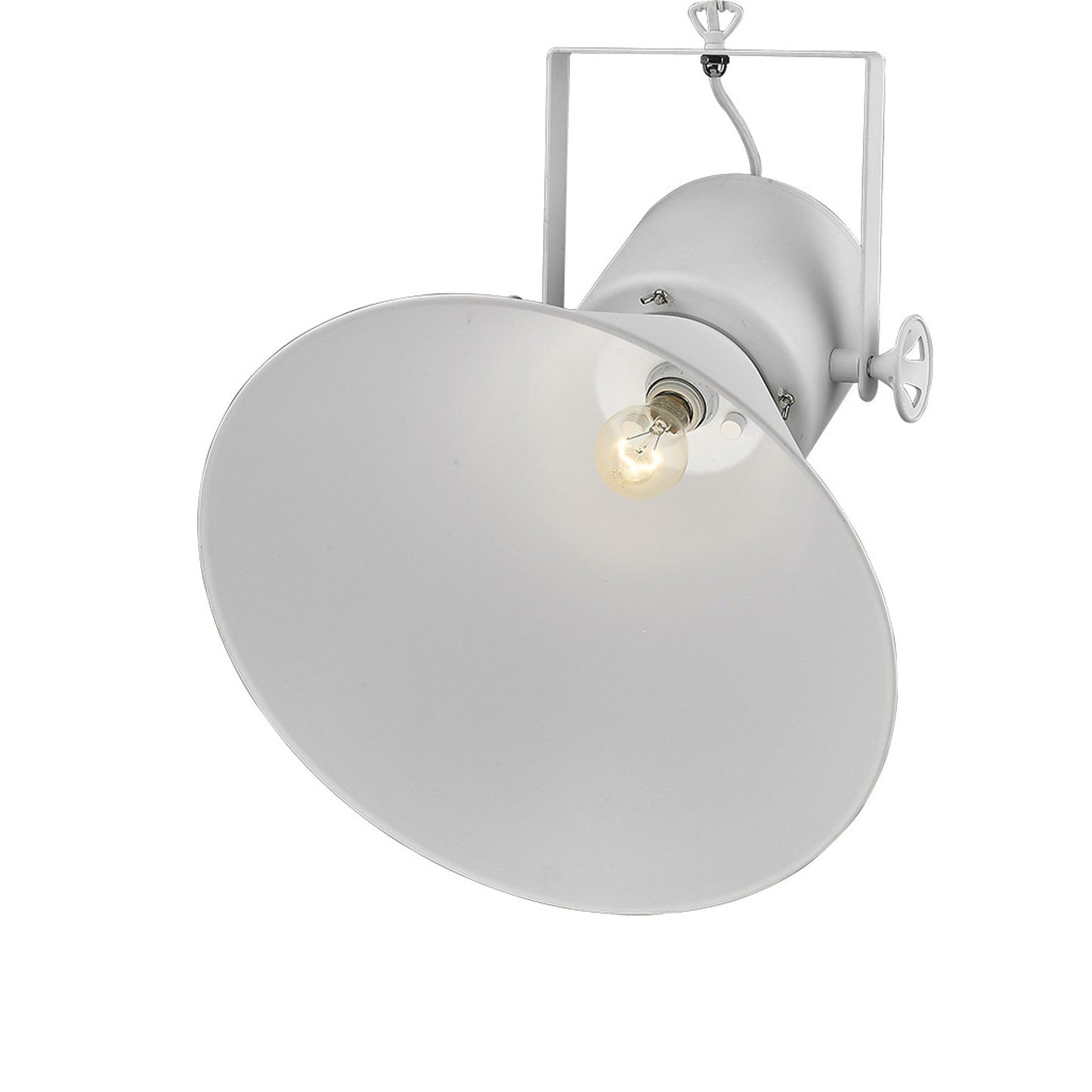 HomeRoots Crew 1-Light Pendant in White Finish