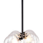 HomeRoots Deco Bubble Ceiling Lamp in Black Finish