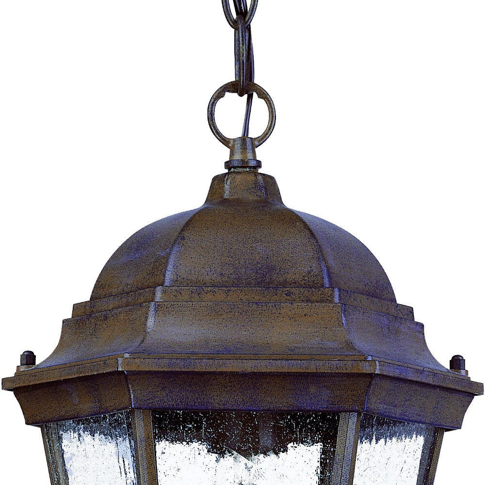 HomeRoots Domed Lantern Hanging Light in Dark Brown Finish
