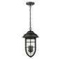 HomeRoots Dylan 3-Light Hanging Lantern in Oil Rubbed Bronze Finish