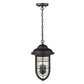 HomeRoots Dylan 3-Light Hanging Lantern in Oil Rubbed Bronze Finish