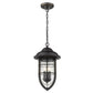 HomeRoots Dylan 3-Light Hanging Lantern in Oil Rubbed Bronze Finish