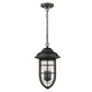HomeRoots Dylan 3-Light Hanging Lantern in Oil Rubbed Bronze Finish