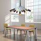 HomeRoots Explosion Ceiling Lamp in Black Finish