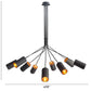 HomeRoots Explosion Ceiling Lamp in Black Finish